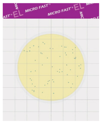 MicroFast® Environmental Listeria ﻿(EL) Count Plate (25 pcs)