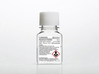 Corning® 50 mL Kanamycin Sulfate, Liquid (6x50 mL)