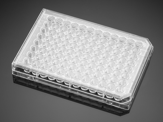 Corning® BioCoat™ Collagen I 48-well Clear Flat Bottom TC-treated Multiwell Plate, with Lid, 5/Case