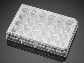 Poly-D-Lysine/Laminin 24 Well Clear Flat Bottom TC-Treated Multiwell Plate, with Lid, 5/Case