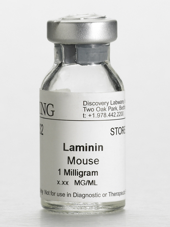 Corning® Laminin, Mouse, 1mg