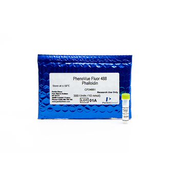 PhenoVue™ Fluor 488 - Phalloidin