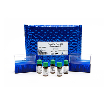 PhenoVue™ Fluor 488 - Concanavalin A