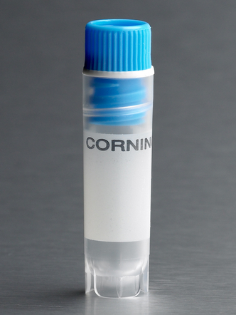 Corning® 2 mL Blue Cap Internal Threaded Polypropylene Cryogenic Vial, Self-Standing with Round Bottom (500 pcs)