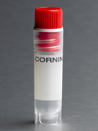 Corning® 2 mL Red Cap Internal Threaded Polypropylene Cryogenic Vial, Self-Standing with Round Bottom (500 pcs)