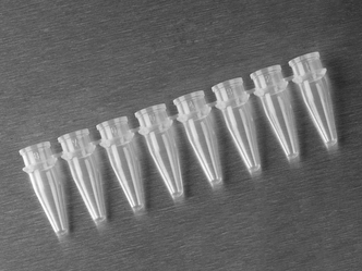 Axygen® 0.2 mL Polypropylene PCR Tube Strips, 8 Tubes/Strip, Clear, Nonsterile (1250 pcs)