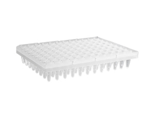 Axygen® 96-well Polypropylene Segmented PCR Microplate, Clear, Nonsterile (50 pcs)