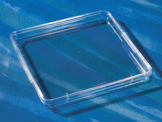 Corning® 245 mm Square Low Profile BioAssay Dish without Handles, not TC-treated 5/Pack, 20/Case