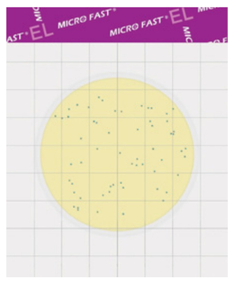 MicroFast® Environmental Listeria (EL) Count Plate (25 pcs)