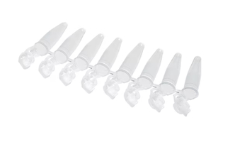 Eppendorf PCR Tube Strips 0030124359