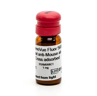 PhenoVue™ Fluor 568 - Goat Anti-Mouse Antibody Cross-Adsorbed