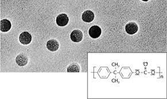 Polycarbonate Track-Etched Membrane Filters / 0.1 µm / 25 mm Discs