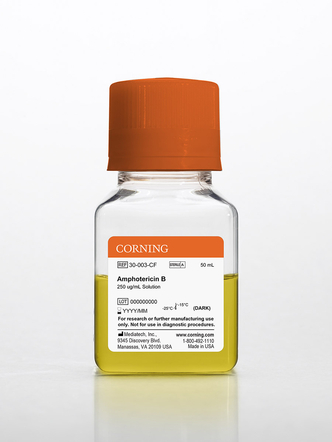 Corning® 50 mL Amphotericin B, Liquid (6x100 mL)