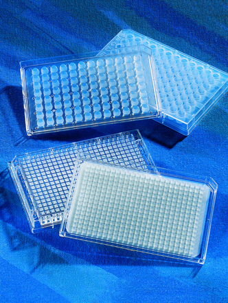 Corning® 384-well Robolid with Corner Notch, Nonsterile (50 pcs)