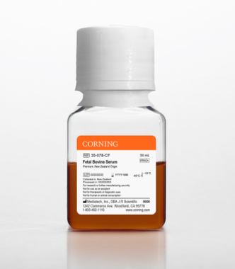 Corning® Fetal Bovine Serum, 50 mL, Premium, New Zealand Origin