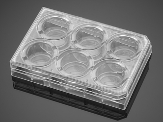 Corning® BioCoat™ Fibronectin 6 Well Clear Flat Bottom TC-Treated Multiwell Plate, with Lid, 5/Case