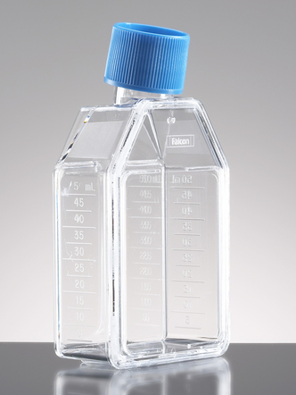 Corning® BioCoat™ Poly-D-Lysine 25cm² Rectangular Canted Neck Cell Culture Flask with Vented Cap (10/Cs)