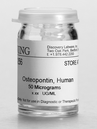 Corning® Osteopontin, Human, 50µg