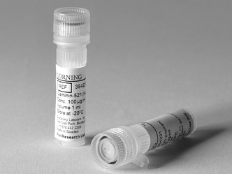 Corning® rLaminin-521, Human, 100μg Vial