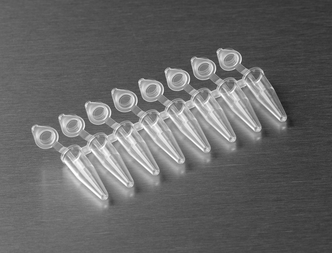Axygen® 0.2 mL Polypropylene PCR Tube Strips and attached Flat Cap Strips, 8 Tubes/Strip, 8 Flat Caps/Strip, Clear, Nonsterile (1260 pcs)