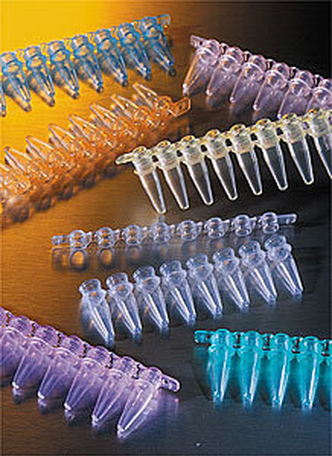 0.2 mL Clear Polypropylene PCR Tubes, 8-well Strips (300 pcs)