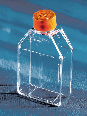 Corning® 25cm² Rectangular Canted Neck Cell Culture Flask with Vent Cap (20 / Pk, 200 / Cs)