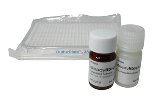 steadylite plus Reporter Gene Assay System, 10 mL